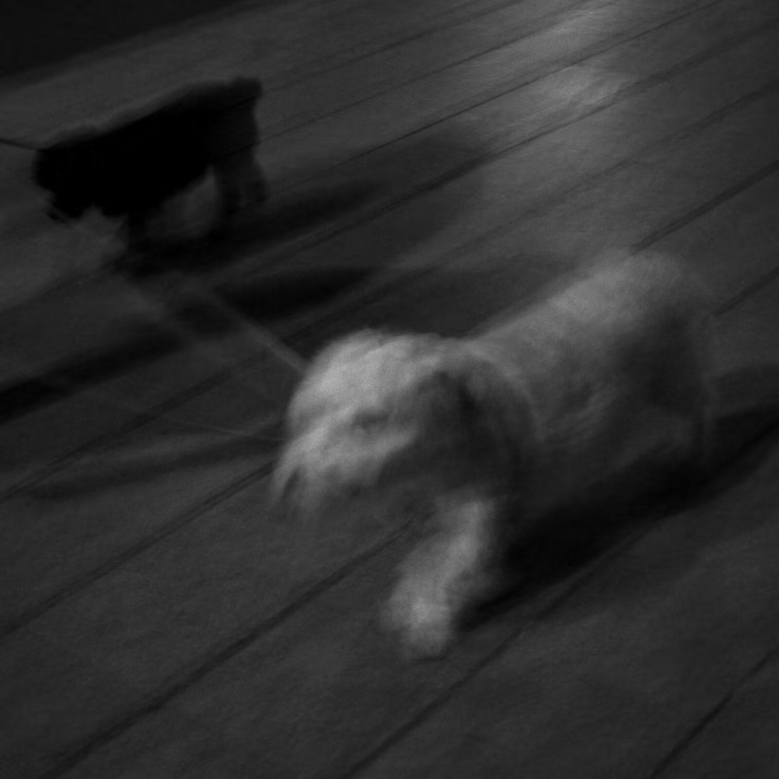 Black series photograph 04