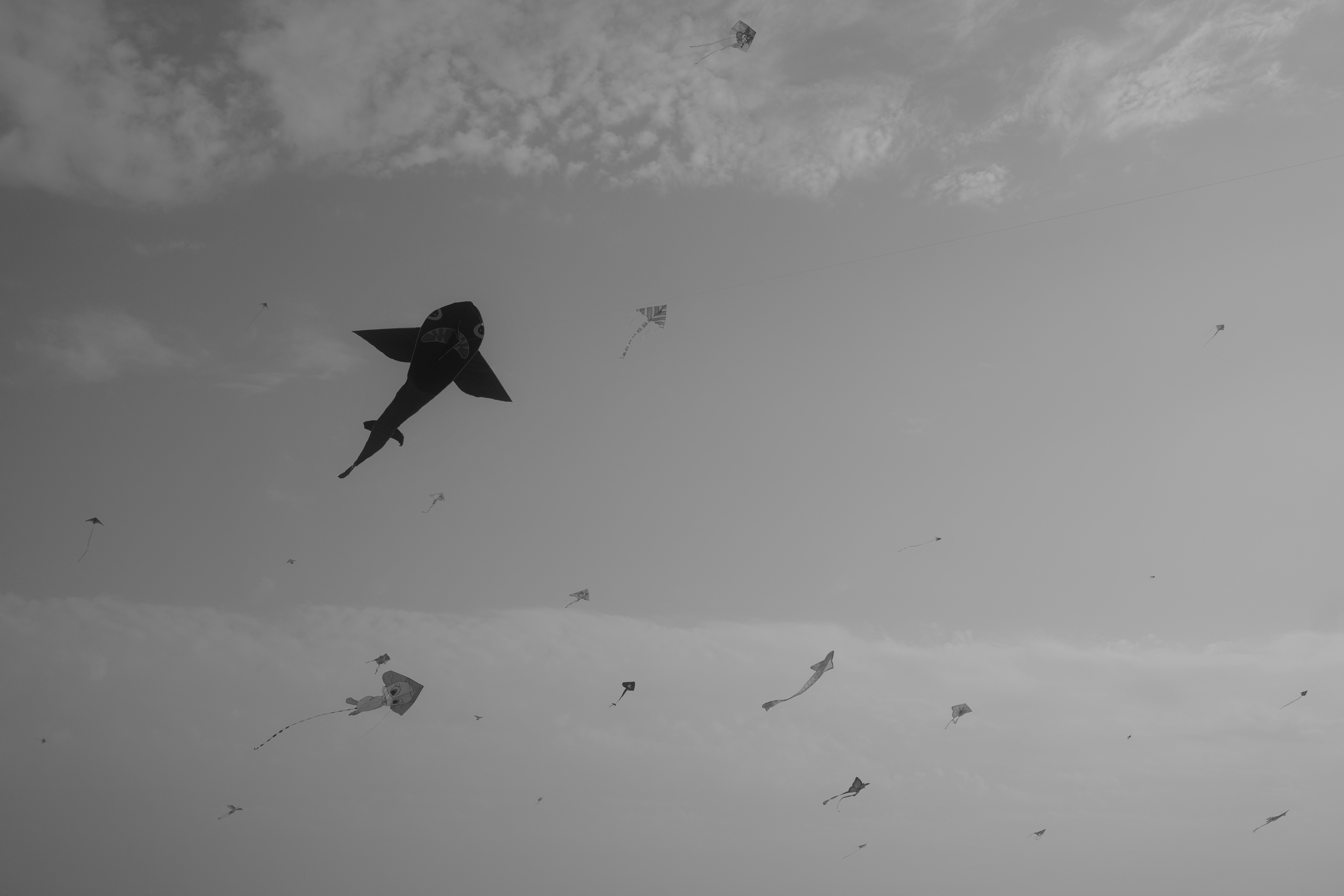 Black series photograph 11