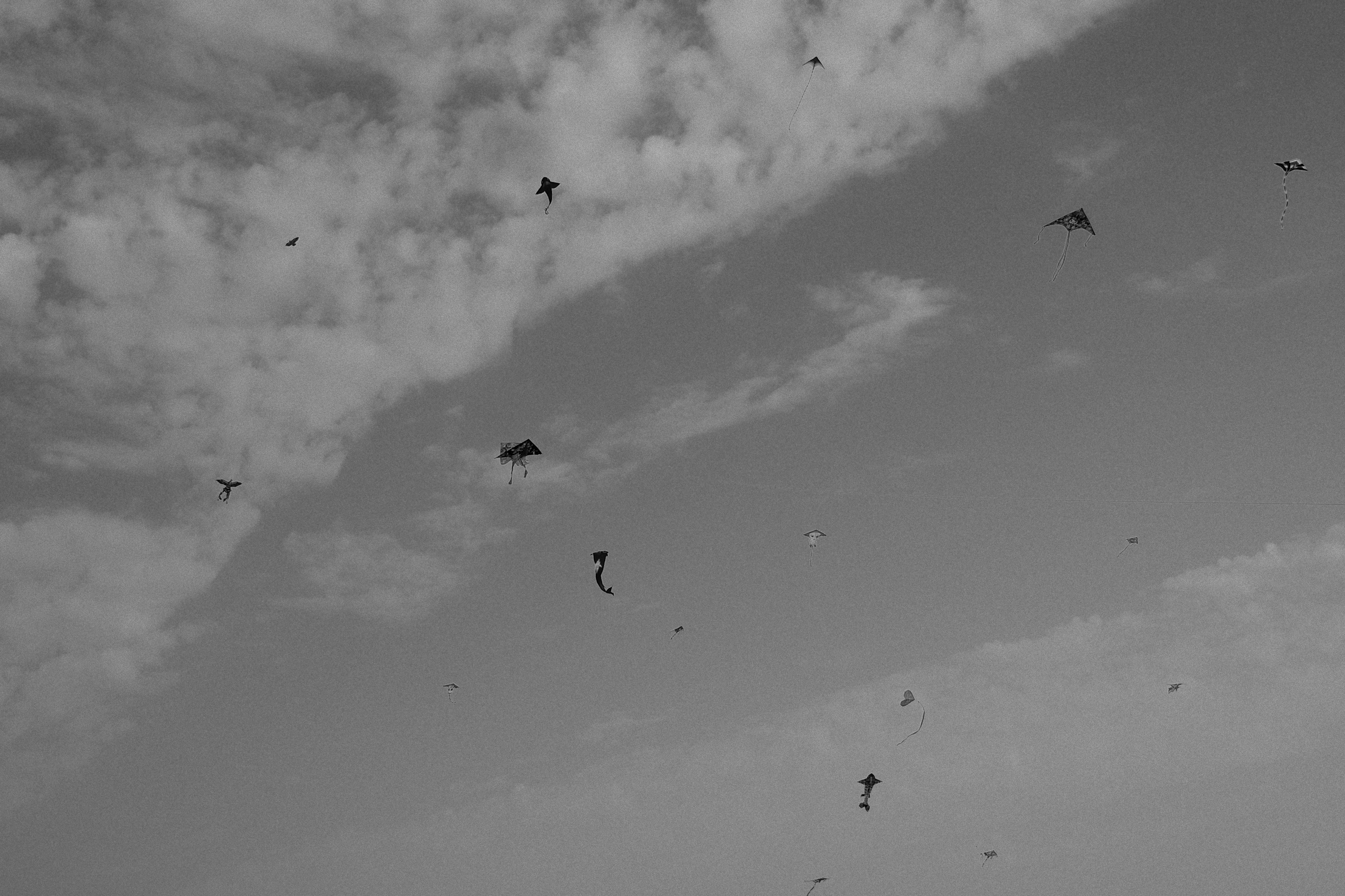 Black series photograph 12