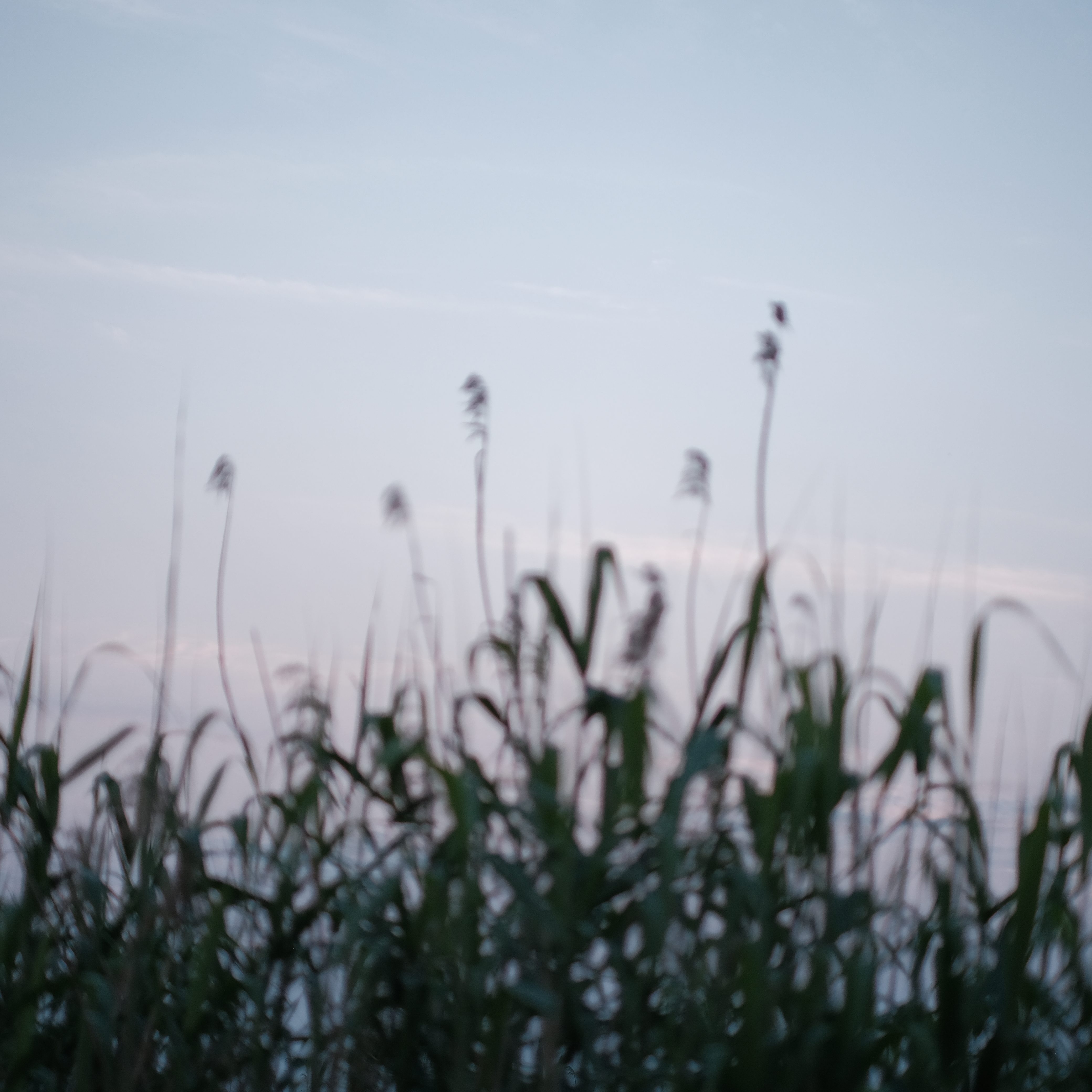 Emotion series photograph 01