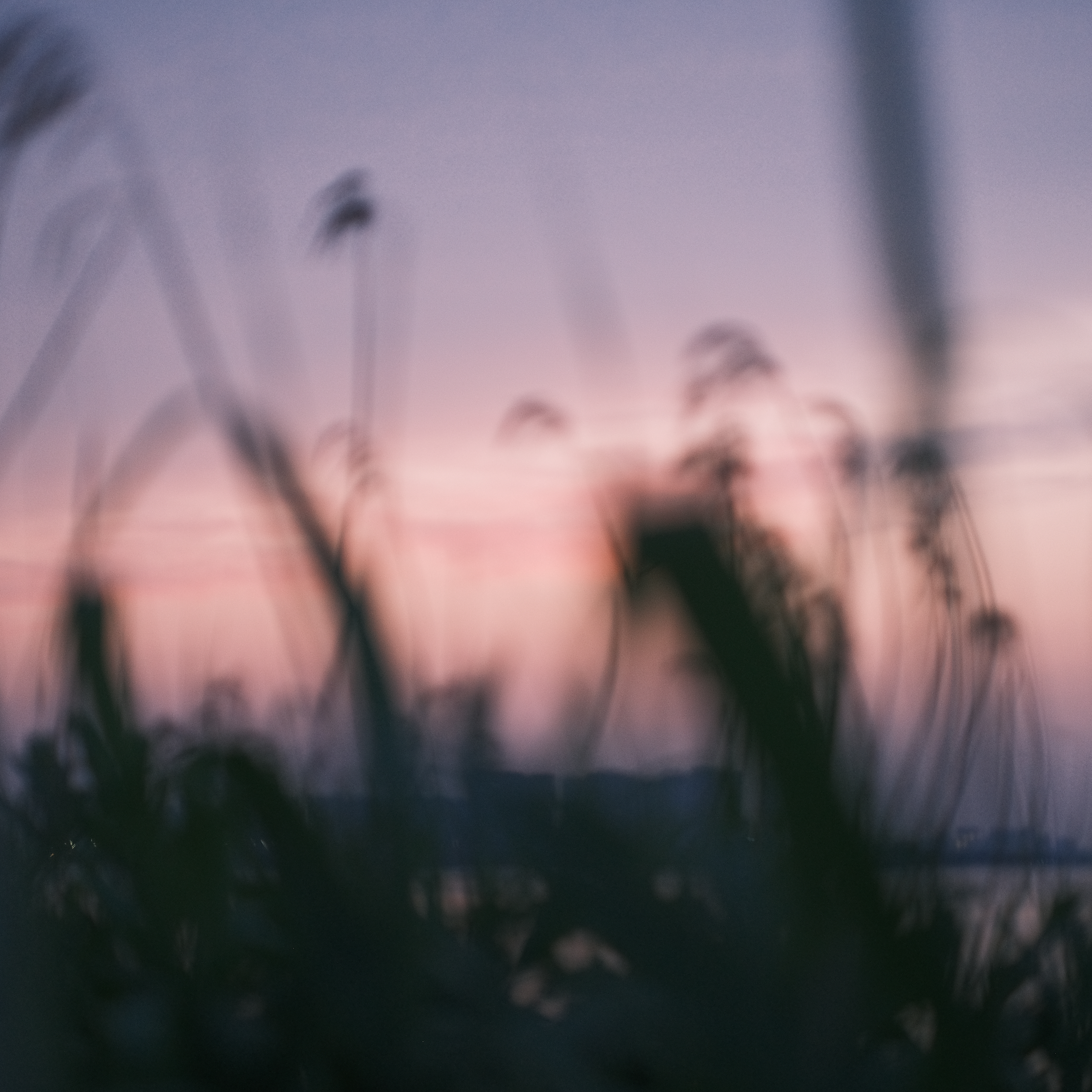 Emotion series photograph 02