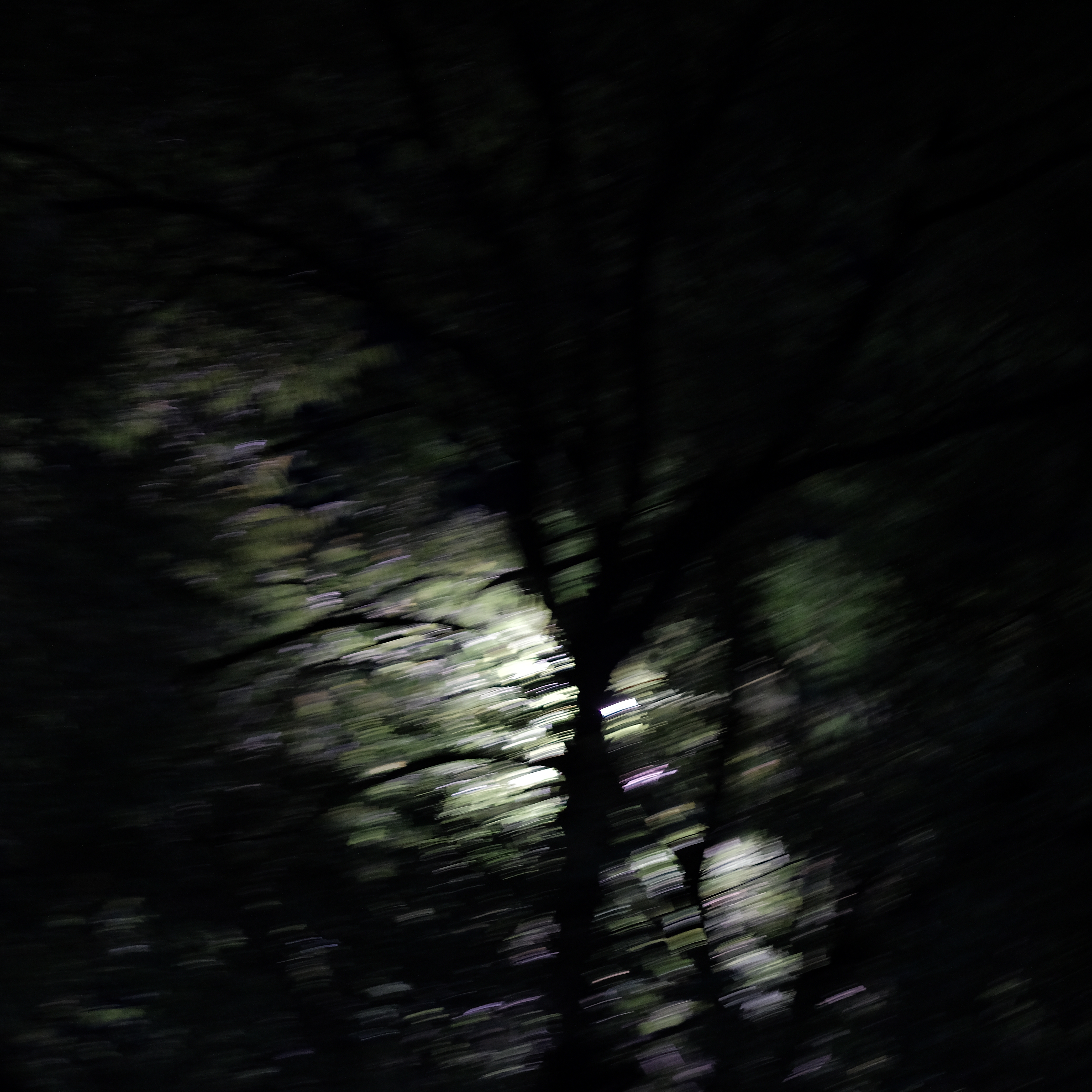 Emotion series photograph 03