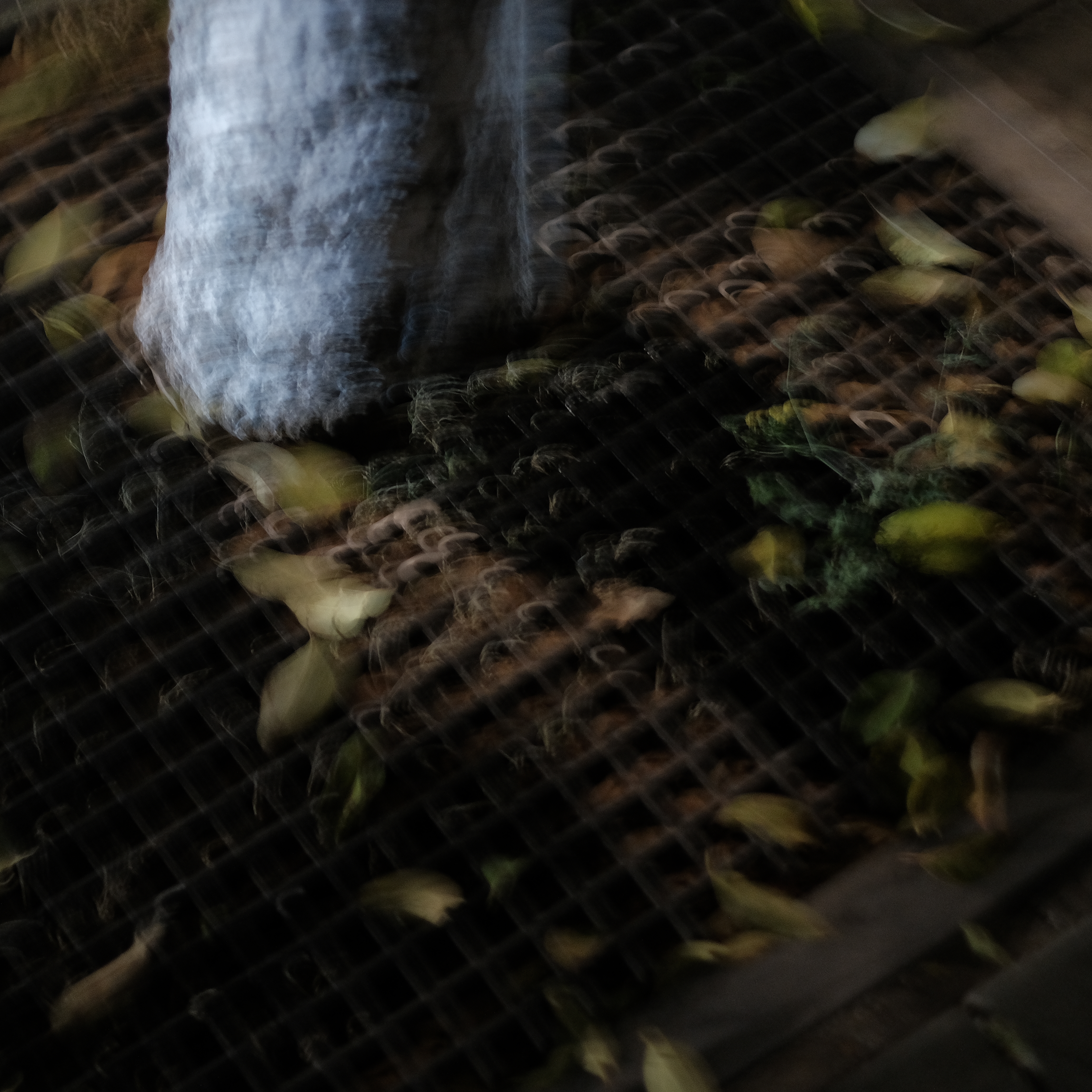 Emotion series photograph 06