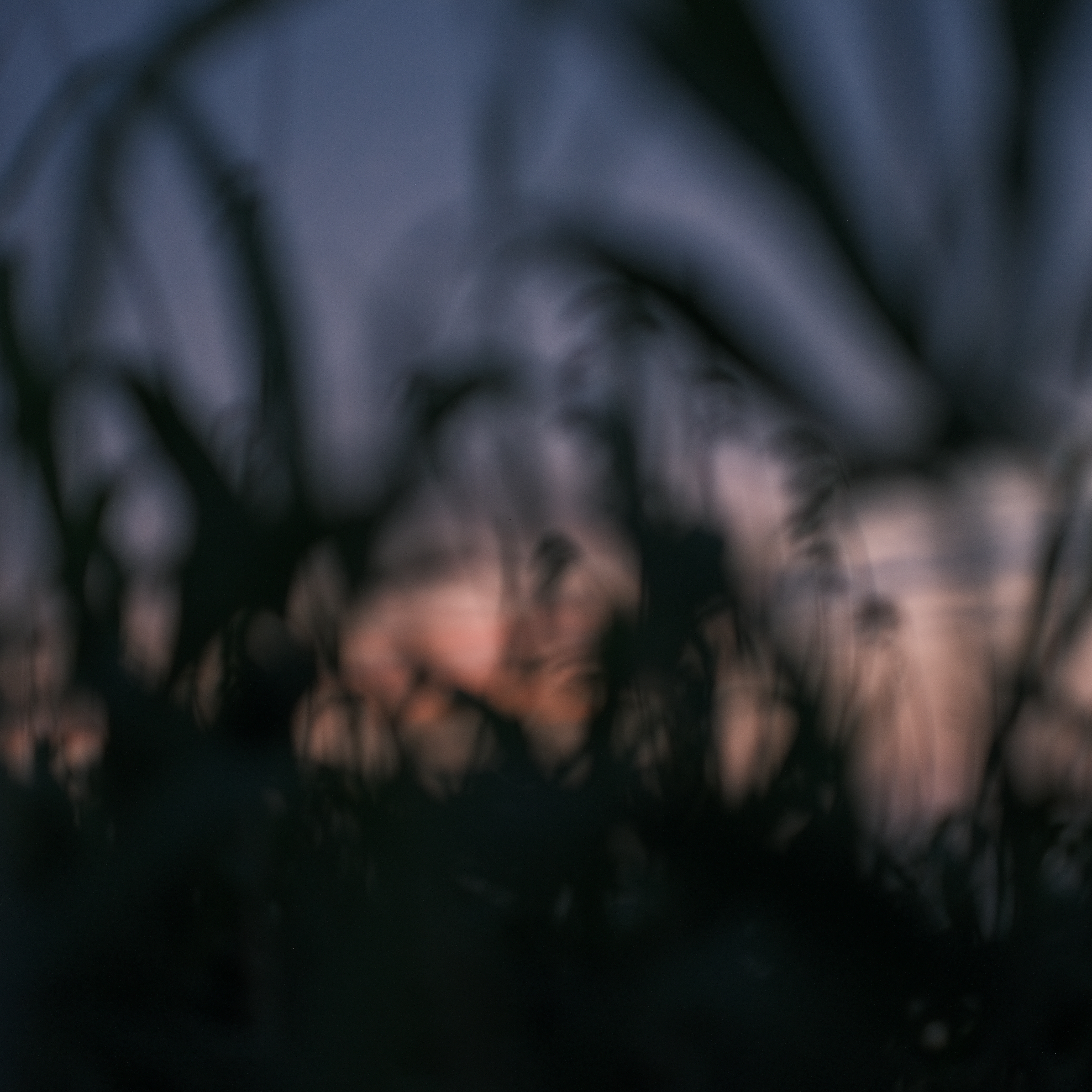 Emotion series photograph 07