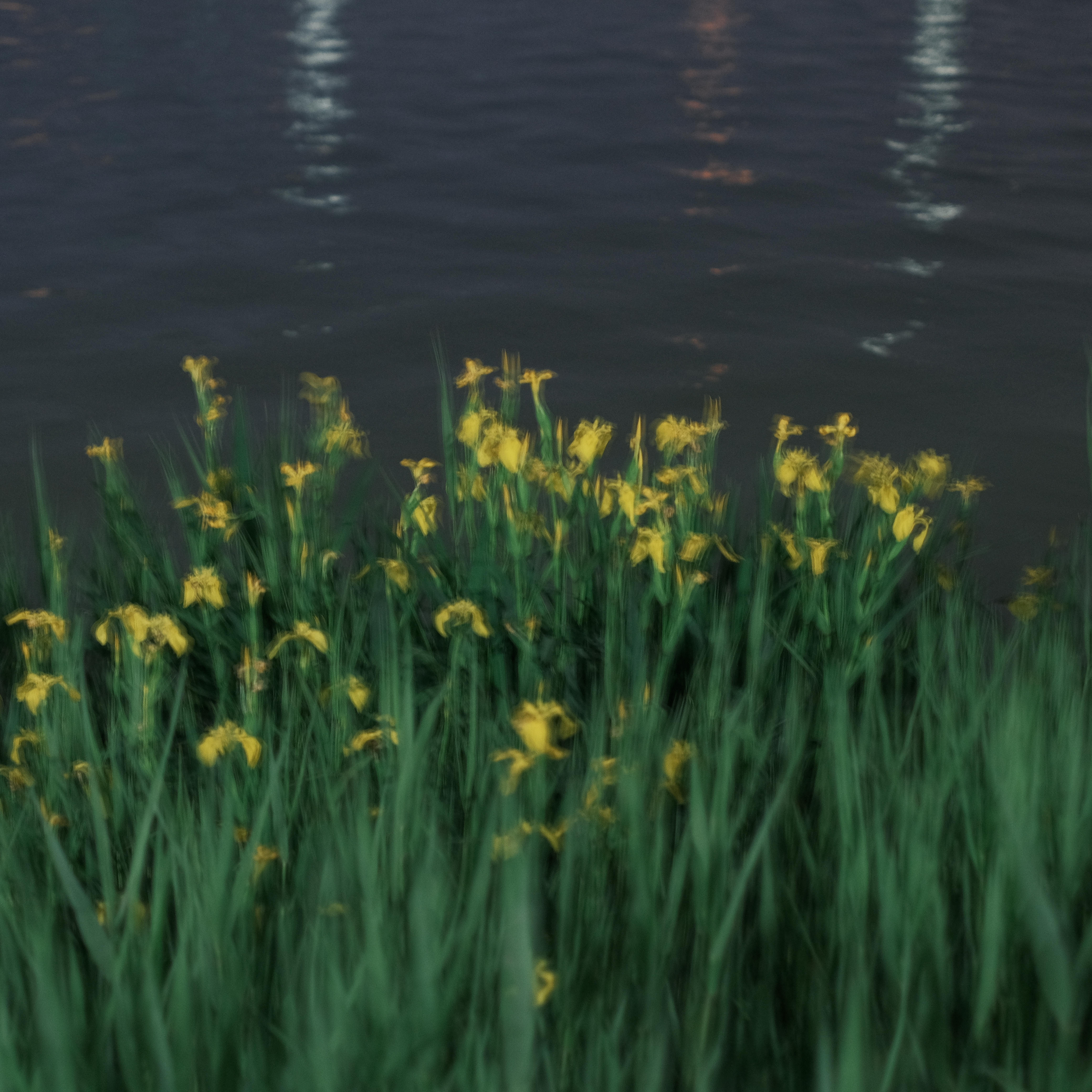 Emotion series photograph 08