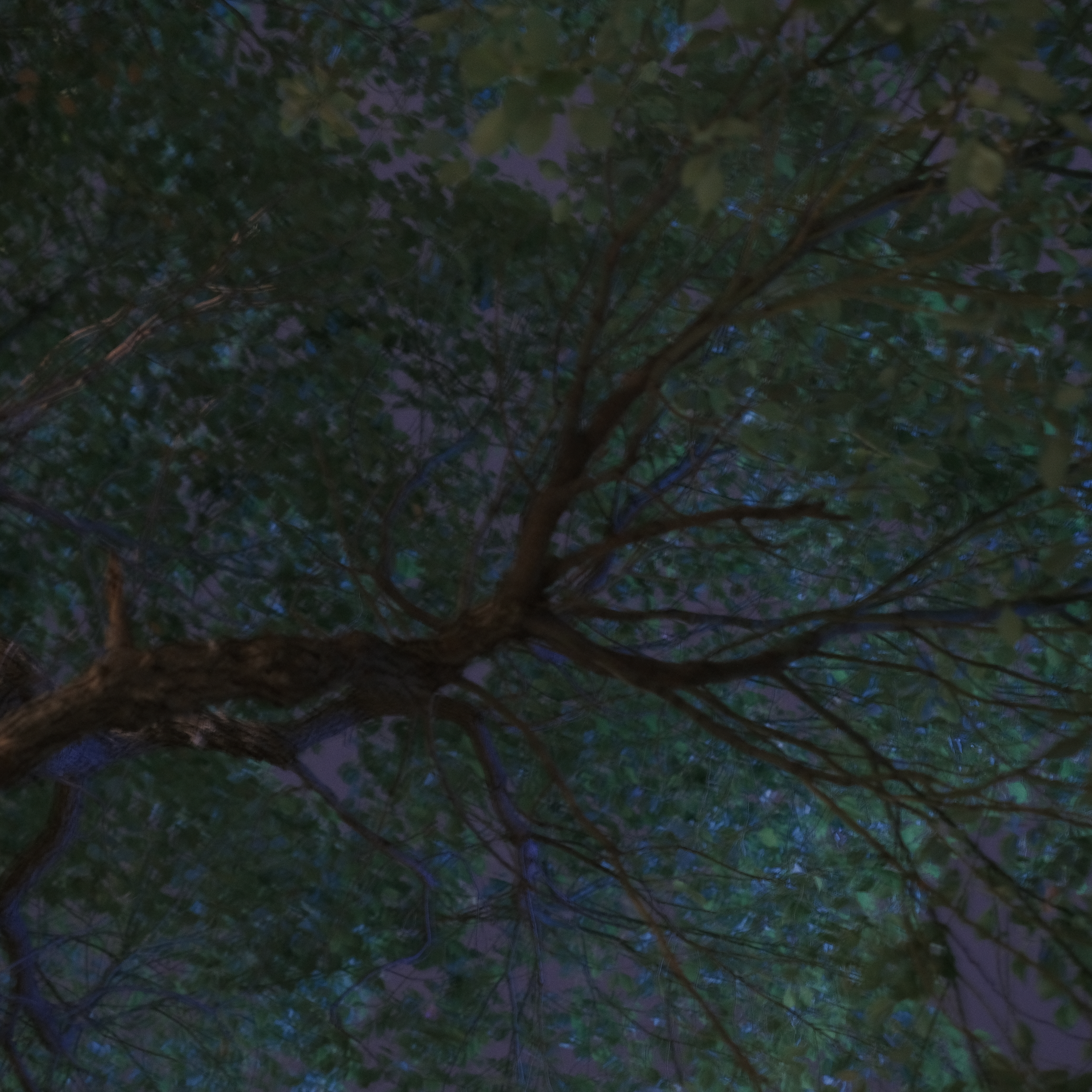 Emotion series photograph 09